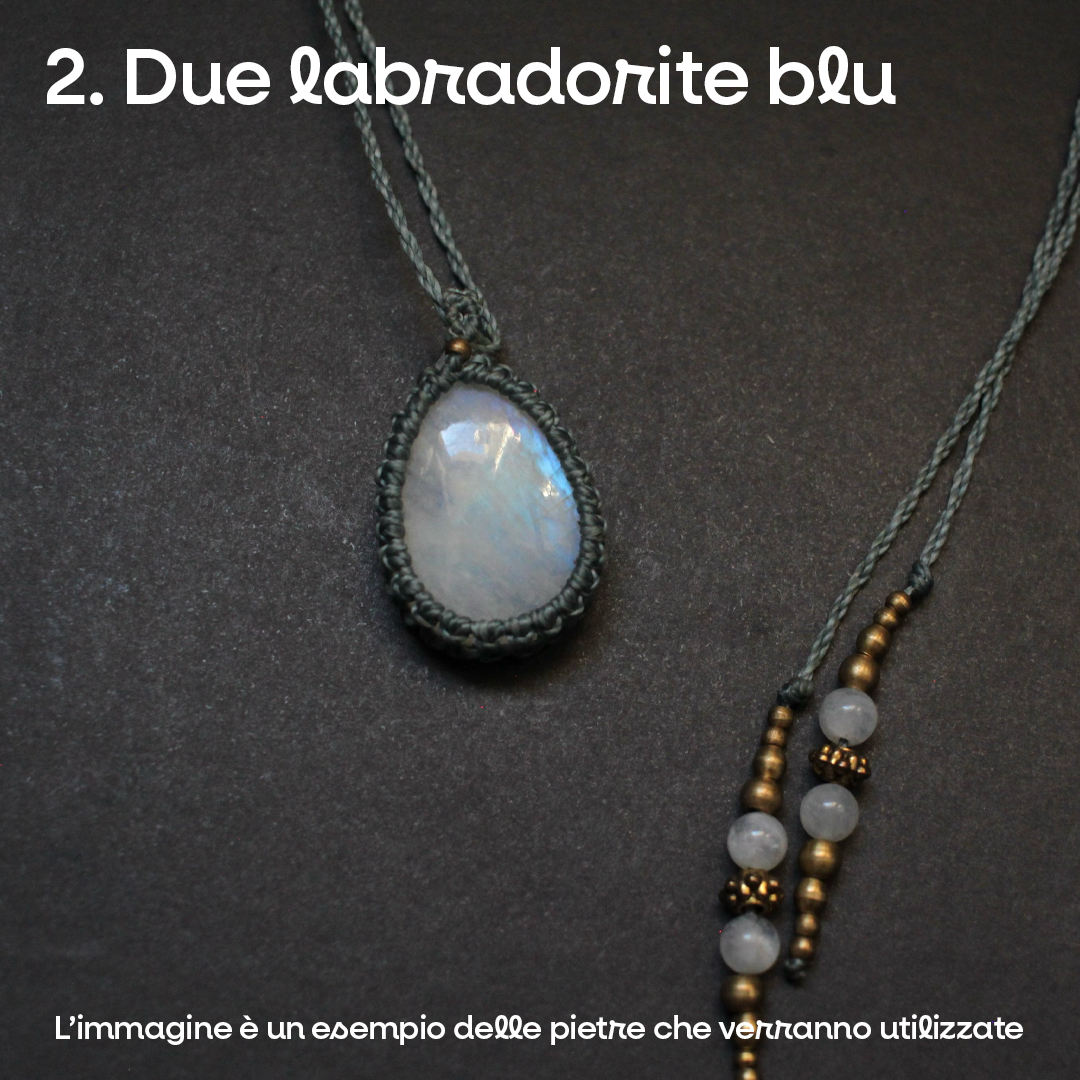 JANUA - immagine 4