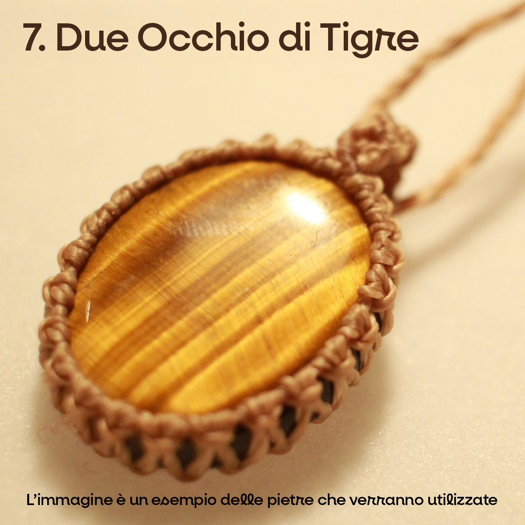 JANUA - immagine 9